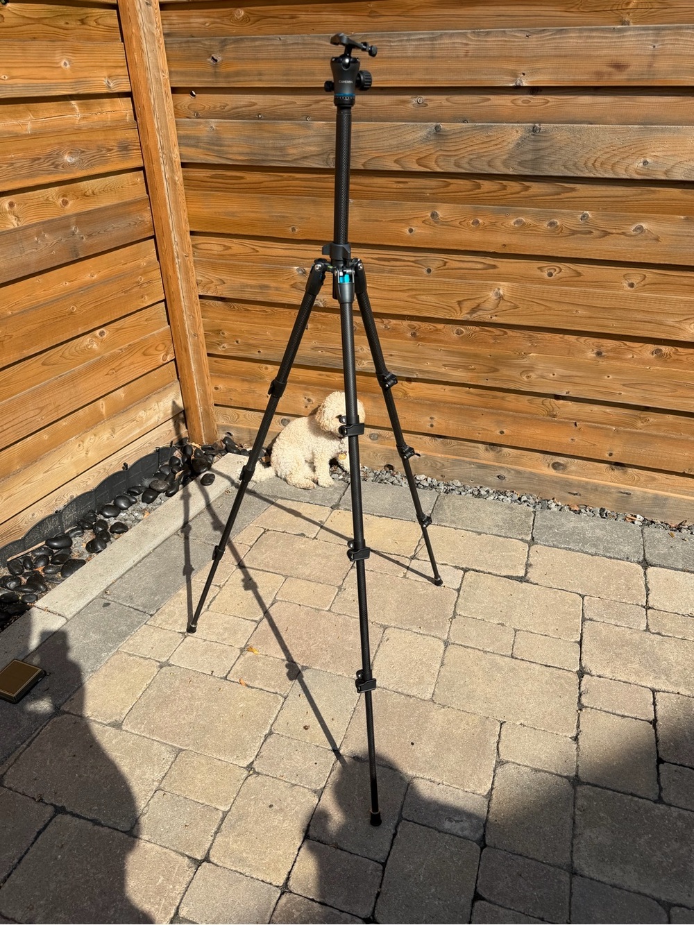 Cameron Lightweight Black Camera Tripod with 3-Way Head